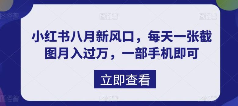 八月新风口,小红书虚拟项目一天收入1000+,实战揭秘(揭秘小红书虚拟项目如何利用信息差实现日入1000+)
