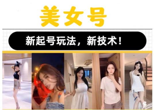 2023抖音快手短视频美女号课程制作玩法教程，美女号搬运新起号玩法，新技术（素材+教程）(掌握短视频制作技巧，成为抖音快手美女号达人)