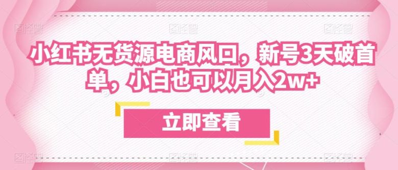 众狼电商余文小红书无货源电商风口，新号3天破首单，小白也可以月入2w+(众狼电商余文小红书无货源电商风口课程解析)