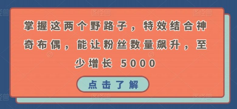 掌握这两个野路子,特效结合神奇布偶,能让粉丝数量飙升,至少增长 5000 掌握这两个野路子,特效结合神奇布偶,能让粉丝数量飙升,至少增长 5000