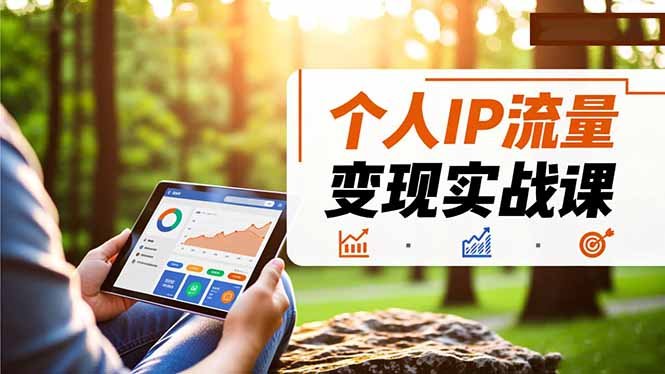 个人IP流量变现实战课,涵盖多平台引流、打造个人IP并实现稳定流量变现