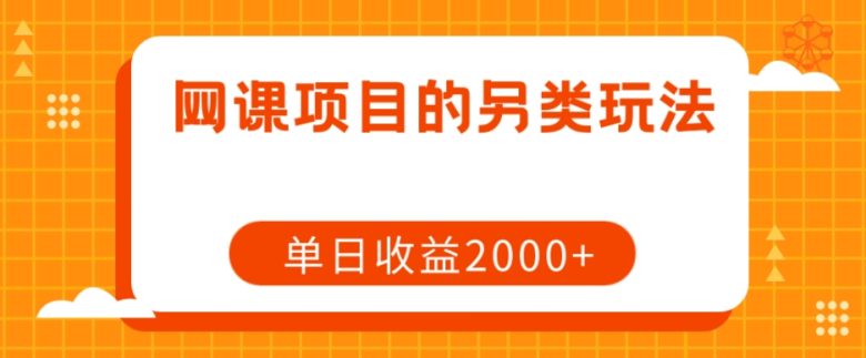 网课项目的另类玩法，单日收益2000+【揭秘】(揭秘网课项目的高效盈利策略)