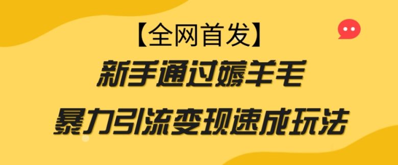 【全网首发】新手通过薅羊毛暴力引流变现速成玩法(新手通过薅羊毛暴力引流变现速成玩法) 【全网首发】新手通过薅羊毛暴力引流变现速成玩法(新手通过薅羊毛暴力引流变现速成玩法)