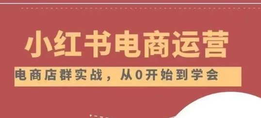 小红书店铺运营从小白到大神2.0,从入门到精通(小红书店铺运营全攻略从入门到精通)
