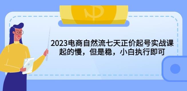 2023电商自然流七天正价起号实战课：起的慢，但是稳，小白执行即可！(掌握电商自然流技巧，稳健提升流量与销售)