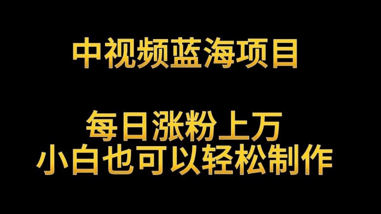 中视频蓝海项目,解读英雄人物生平,每日涨粉上万,小白也可以轻松制作,月入过万 中视频蓝海项目,解读英雄人物生平,每日涨粉上万,小白也可以轻松制作,月入过万