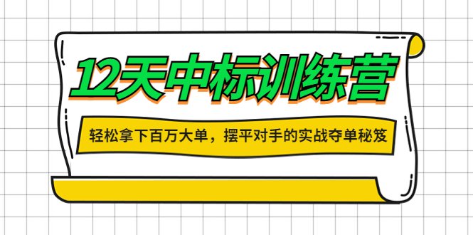 12天中标训练营实战夺单秘笈，轻松拿下百万大单！)