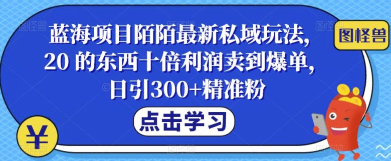 蓝海项目陌陌最新私域玩法,20 的东西十倍利润卖到爆单,日引300+精准粉【揭秘】(《蓝海项目陌陌最新私域玩法》——轻松实现高利润的社交电商新模式)
