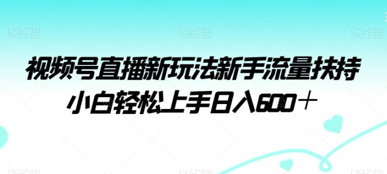 视频号直播新玩法新手流量扶持小白轻松上手日入600＋(揭秘2024年最新蓝海风口赛道——视频号直播新玩法)