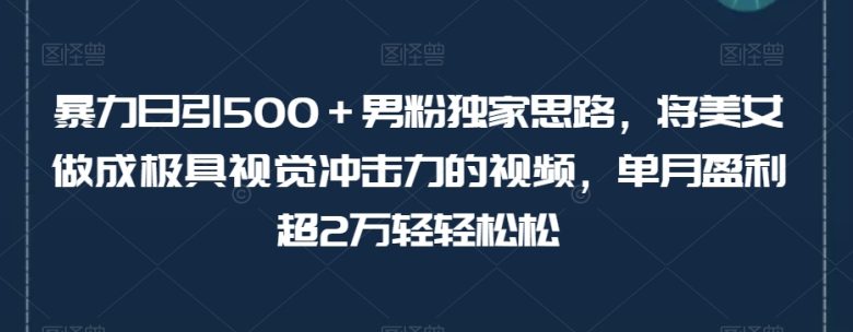 暴力日引500+男粉独家思路,将美女做成极具视觉冲击力的视频,单月盈利超2万轻轻松松 暴力日引500+男粉独家思路,将美女做成极具视觉冲击力的视频,单月盈利超2万轻轻松松