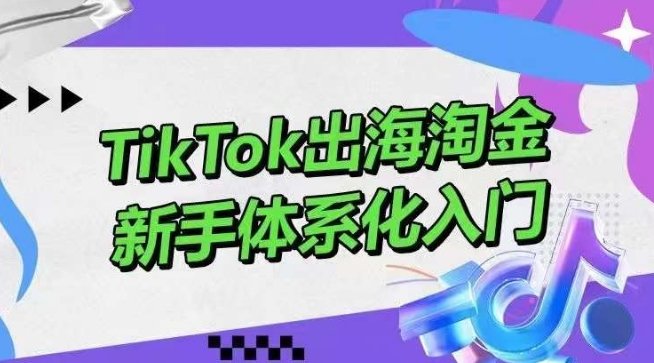 TikTok出海淘金,新手体系化入门,零基础快速入门,掌握短视频、直播带货等引流到变现的知识 TikTok出海淘金,新手体系化入门,零基础快速入门,掌握短视频、直播带货等引流到变现的知识
