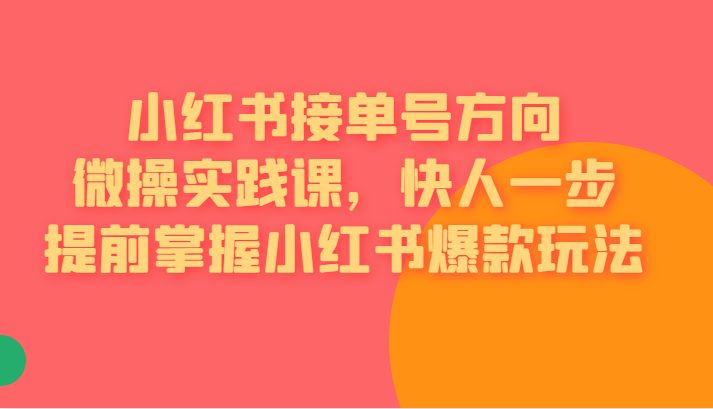 [小红书]小红书接单号方向微操实践课，快人一步提前掌握小红书爆款玩法(小红书接单号方向微操实践课全面解析小红书爆款玩法)