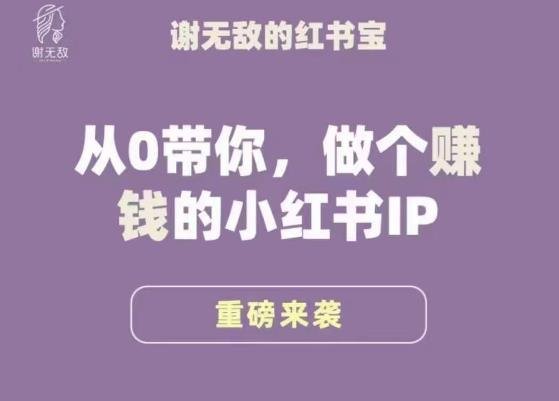 谢无敌·小红书运营大宝典，从0带你做个赚钱的小红书IP(“深度解析小红书运营从零基础到赚钱IP的转变之路”)