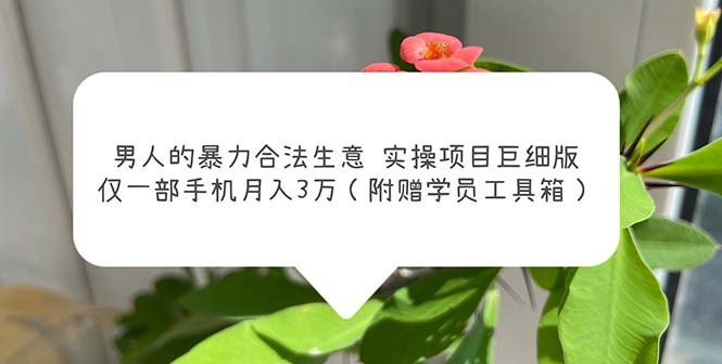 男人的暴力合法生意实操项目巨细版：仅一部手机月入3w（附赠学员工具箱）(揭秘男性主导的月入3万合法生意实操项目)