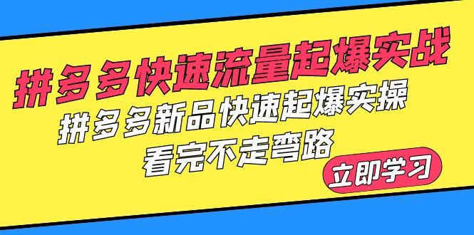 拼多多-快速流量起爆实战，拼多多新品快速起爆实操，看完不走弯路(拼多多快速流量起爆与新品推广实操指南)