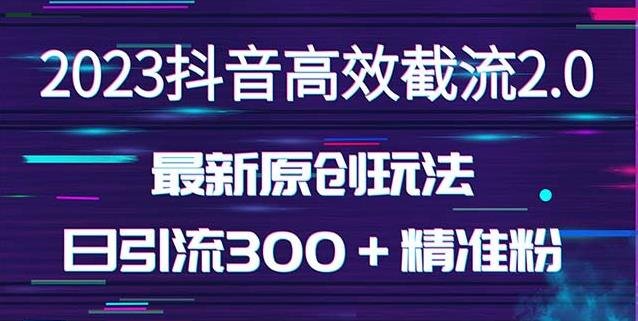日引300+创业粉,独家抖音高效截流2.0玩法(价值1280)(探索抖音高效截流2.0玩法无需起号,批量放大引流效果)