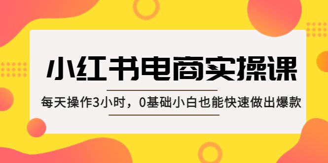 小红书·电商实操课：每天操作3小时，0基础小白也能快速做出爆款！(“零基础也能成为电商达人小红书实操课程详解”)