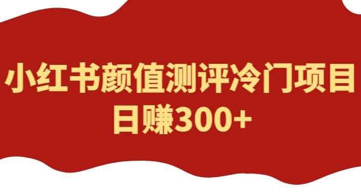 外面1980的项目，小红书颜值测评冷门项目，日赚300+【揭秘】(揭秘小红书颜值测评冷门项目，日赚300+的实操指南)