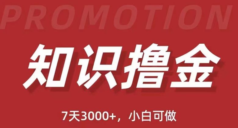 抖音知识撸金项目：简单粗暴日入1000+执行力强当天见收益(教程+资料)(抖音知识撸金项目简单粗暴日入1000+，执行力强当天见收益)