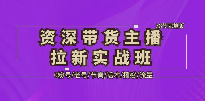资深·带货主播拉新实战班，0粉号/老号/节奏/话术/播感/流量-38节完整版(《资深·带货主播拉新实战班》——提升直播销售力的38节完整课程)