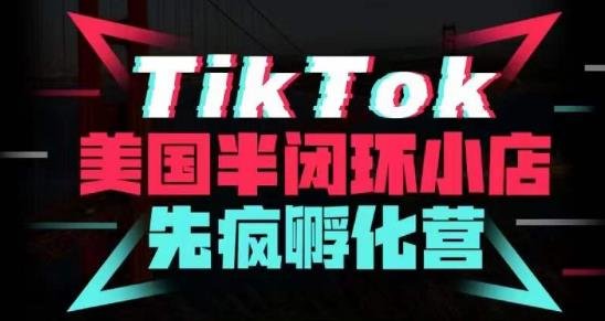 疯人院·TikTok美国半闭环小店孵化营,抢占TikTok美国蓝海市场,开店、运营、带货、投流全实操(疯人院·TikTok美国半闭环小店孵化营全方位掌握TikTok美国市场攻略) 疯人院·TikTok美国半闭环小店孵化营,抢占TikTok美国蓝海市场,开店、运营、带货、投流全实操(疯人院·TikTok美国半闭环小店孵化营全方位掌握TikTok美国市场攻略)