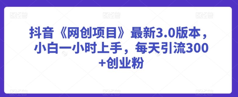 抖音《网创项目》最新3.0版本,小白一小时上手,每天引流300+创业粉 抖音《网创项目》最新3.0版本,小白一小时上手,每天引流300+创业粉