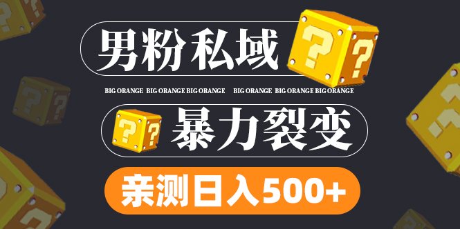 男粉私域项目：亲测男粉裂变日入500+（视频教程）(探索微信裂变营销男粉私域项目实战教程)