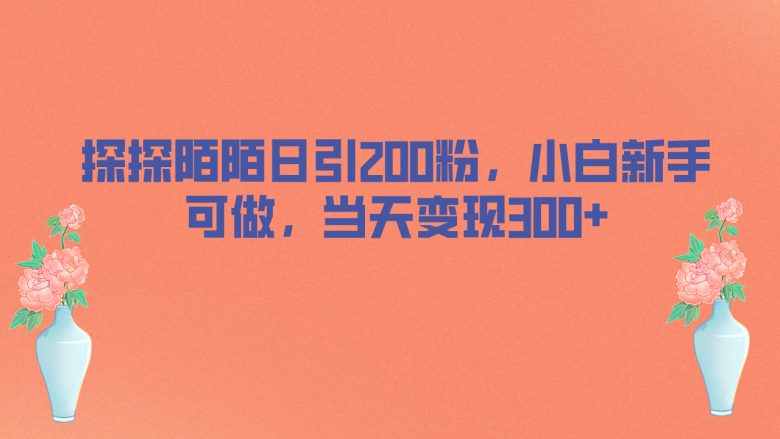 探探陌陌日引200粉，小白新手可做，当天就能变现300+(探探陌陌引流男性粉丝的快速变现策略)