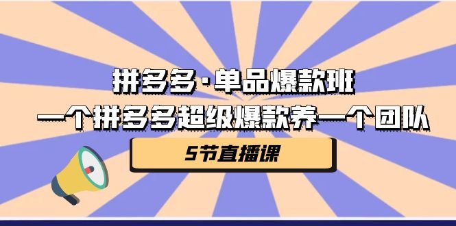 拼多多·单品爆款班,一个拼多多超级爆款养一个团队(5节直播课)(拼多多·单品爆款班5天掌握电商运营核心技巧) 拼多多·单品爆款班,一个拼多多超级爆款养一个团队(5节直播课)(拼多多·单品爆款班5天掌握电商运营核心技巧)