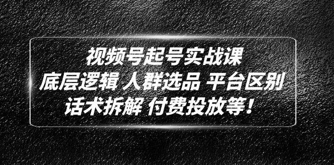 视频号起号实战课：底层逻辑 人群选品 平台区别 话术拆解 付费投放等！(全面解析视频号运营策略与技巧)