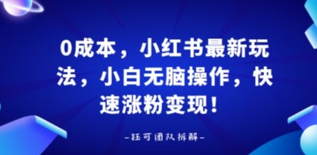 0成本，小红书最新玩法，小白无脑操作，快速涨粉变现