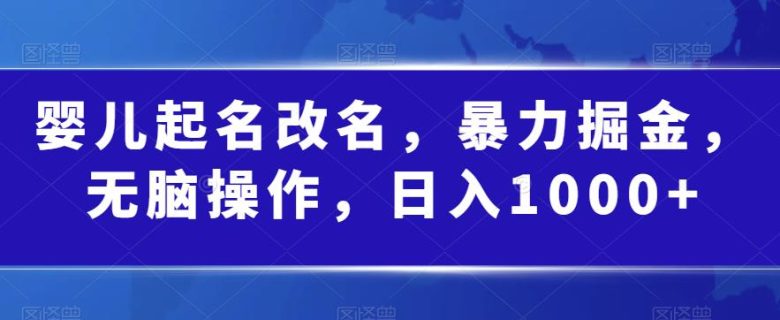 婴儿起名改名，暴力掘金，无脑操作，日入1000+【揭秘】(深度解析“婴儿起名改名”项目的操作流程与收益情况)