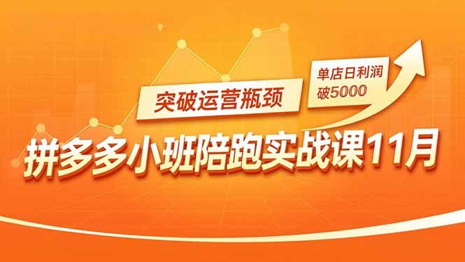 拼多多小班陪跑实战课11月,强付费矩阵、原价活动、暗券引流,突破运营瓶颈,单店日利润破5000