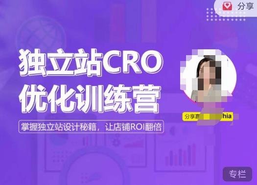 独立站CRO优化训练营,掌握独立站设计秘籍,打造高转化的独立站,让店铺ROI翻倍(独立站CRO优化训练营提升转化率,实现店铺ROI翻倍) 独立站CRO优化训练营,掌握独立站设计秘籍,打造高转化的独立站,让店铺ROI翻倍(独立站CRO优化训练营提升转化率,实现店铺ROI翻倍)
