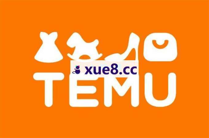 雷子《TEMU从0-1全流程指南》
