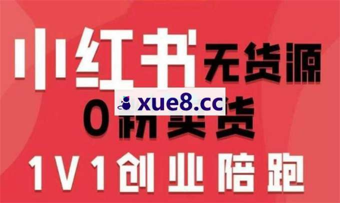 爱野佩佩《小红书0粉卖货电商课》