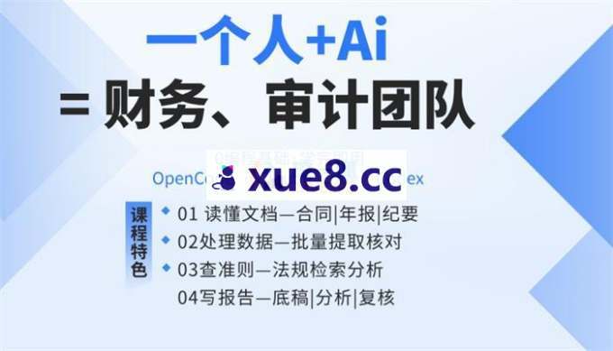 狗哥《AI Agent实战落地课：一人+AI=专业财务、审计团队》