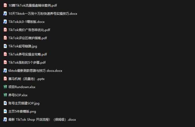 2026TikTok海外掘金实战课——养号SOP+爆款公式+选品测款+广告投流+Shop开店,跑通海外运营全链路