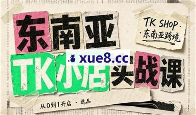 飞哥《东南亚TK小店实战课（基础+进阶）》