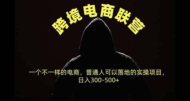 跨境电商联营，一个不一样的电商，普通人可操作日入300-500+