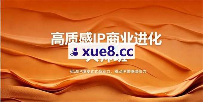 大表姐《高质感IP商业进化大师班》